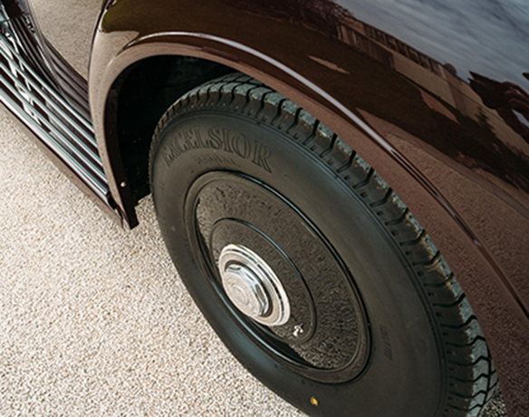 Tips of Car in Spring